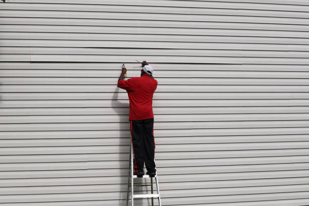Best Stucco Siding  in Pipestone, MN